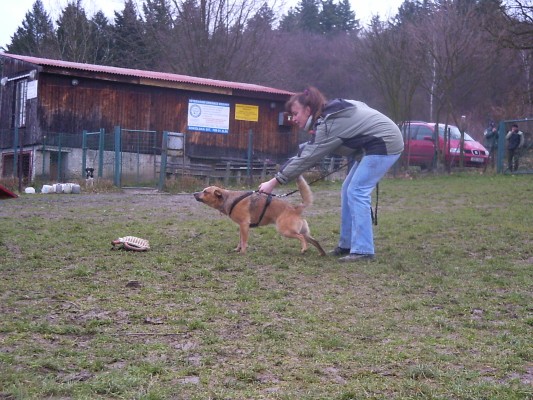 PICT0279.jpg